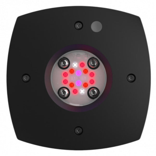 AI Prime 16 Fuge LED Light Black