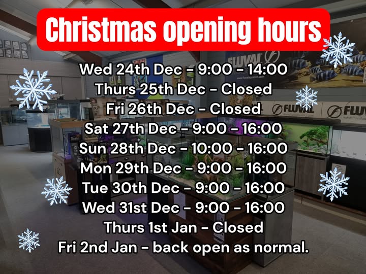 Wharf's Christmas opening hours...