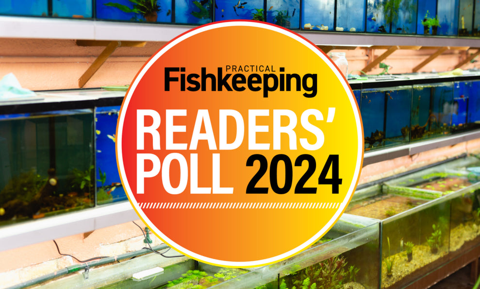 Aquatics store clearance