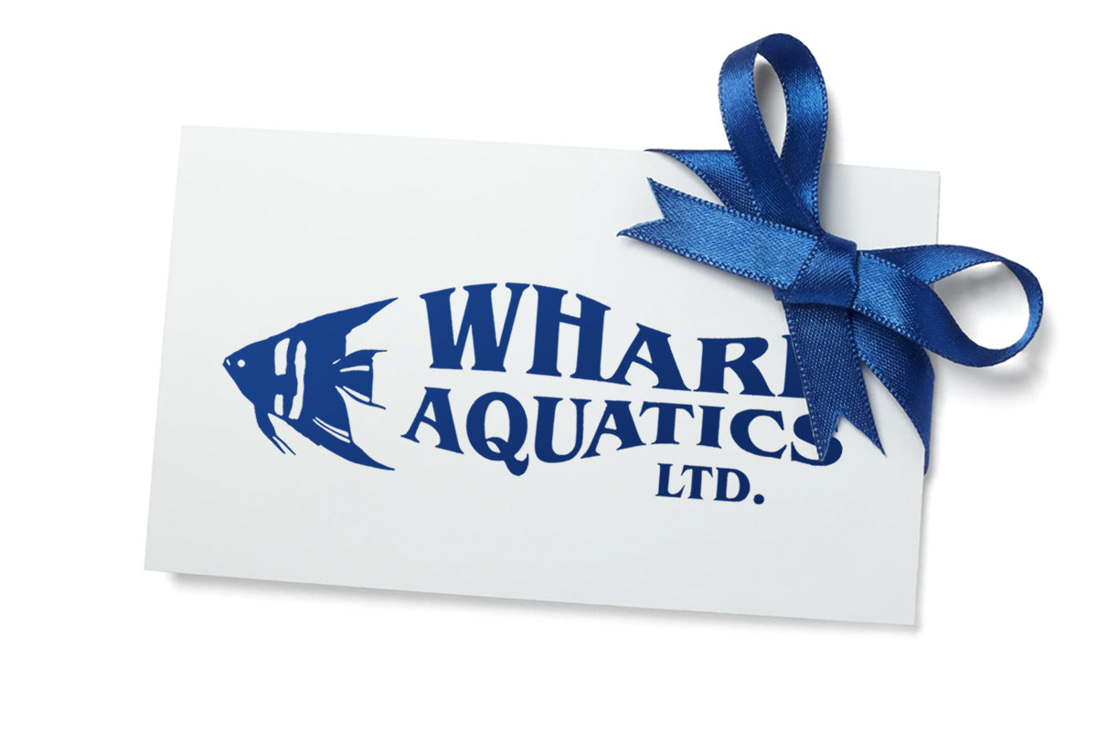 Wharf Aquatics Gift Voucher