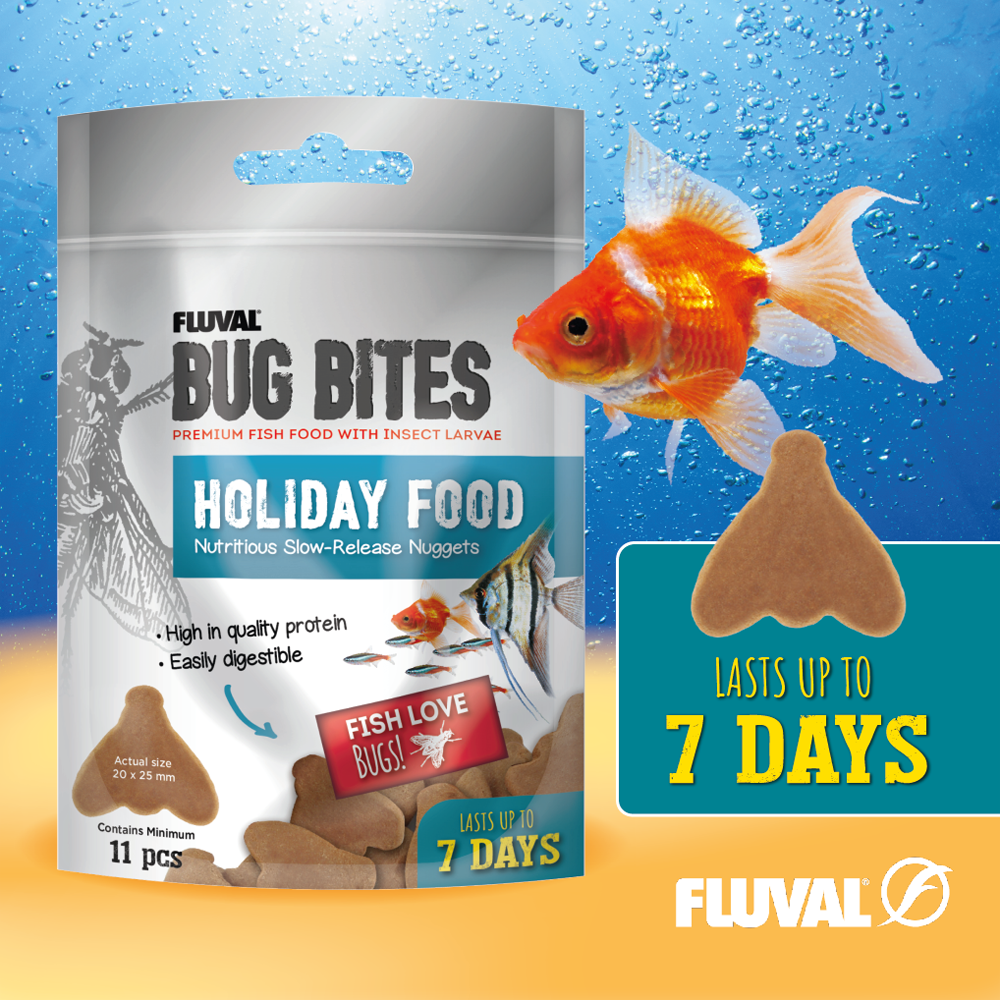 Fluval Bug Bites Holiday Food 20g Wharf Aquatics