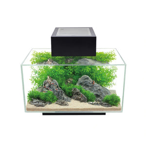 Fluval Edge 23 L Aquarium in black, example setup.