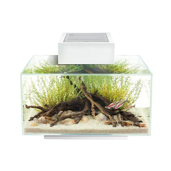 Fluval Edge 2.0 Aquarium - Wharf Aquatics