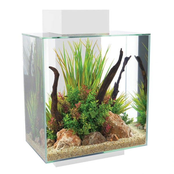 Fluval Edge 2.0 46L Aquarium - Wharf Aquatics