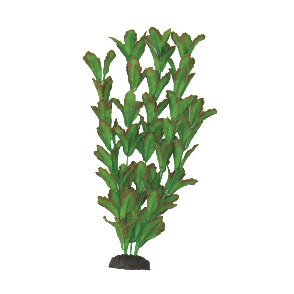 Hugo Kamishi Rotundifolia Silk 50cm