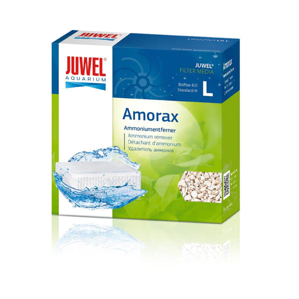 Juwel Amorax media L