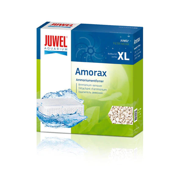 Juwel Amorax media XL