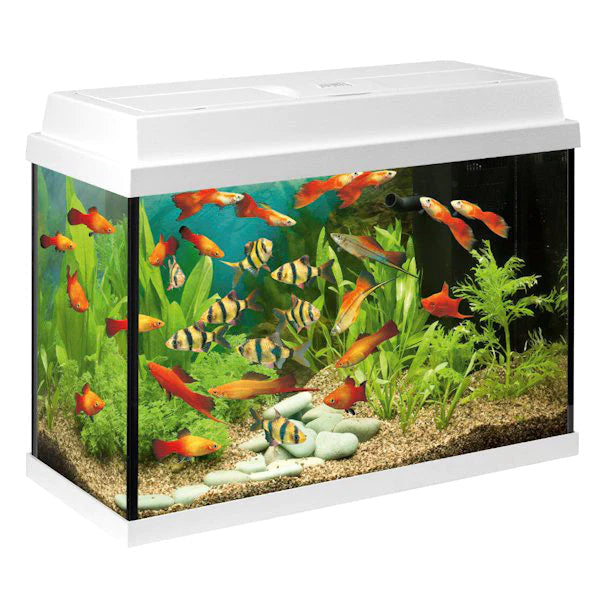 Juwel Primo 70 LED Aquarium White