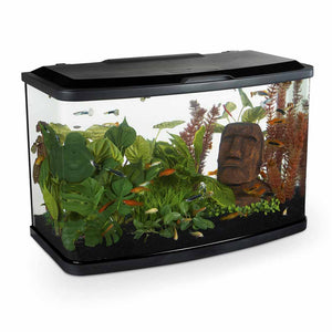 Marina Vue 60L Curved Glass Aquarium Kit