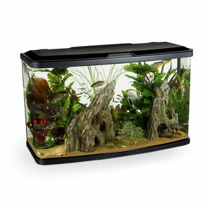 Marina Vue 87L Curved Glass Aquarium Kit