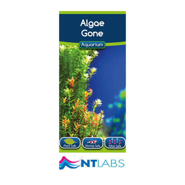 NT Labs Algae Gone, aquarium algae treatment.
