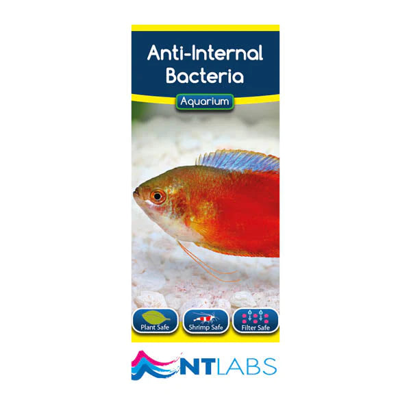 NT Labs Anti-Internal Bacteria aquarium fish treatment.