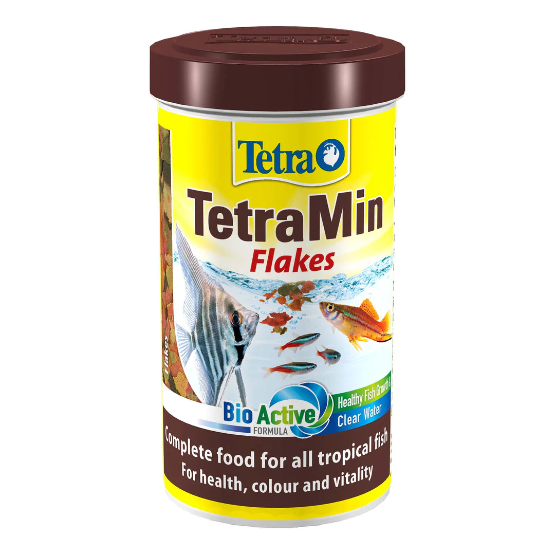 TetraMin Flake 100g