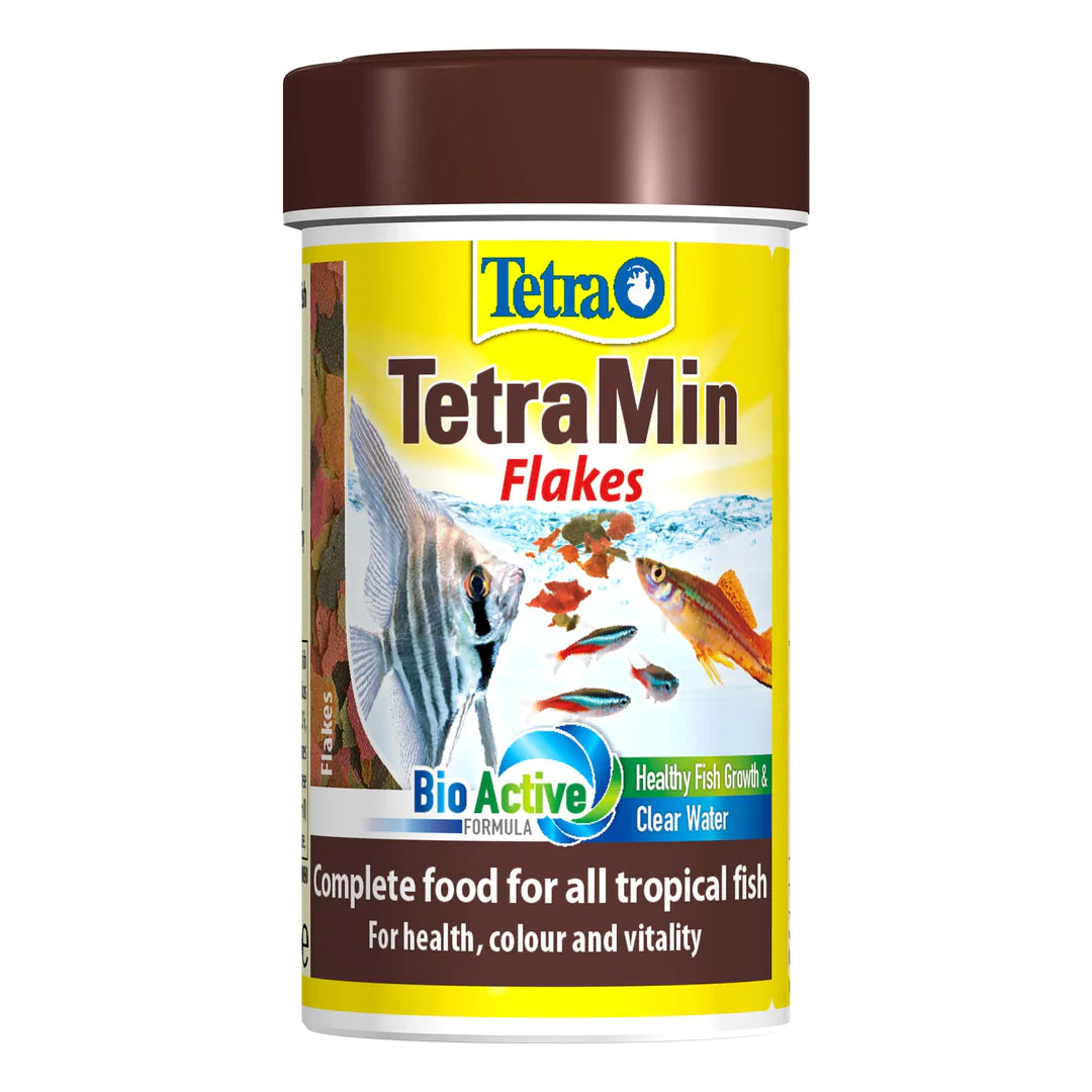 TetraMin Flake 20g