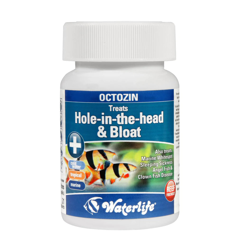 Waterlife Octozin 21 tabs